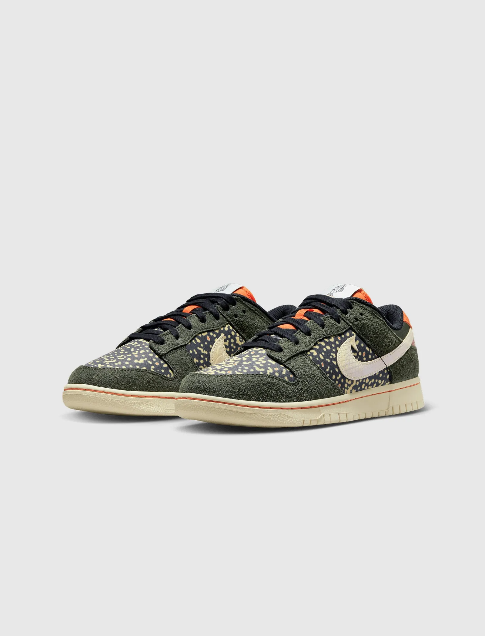 DUNK LOW RETRO SE RAINBOW TROUT